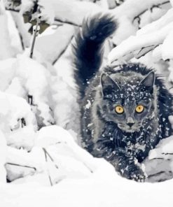 Grey Winter Cat Diamond Paintings