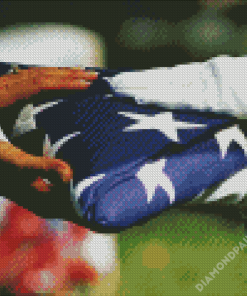 Military Funeral Flag Diamond Paintings