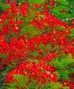 Red Flamboyant Tree Diamond Paintings