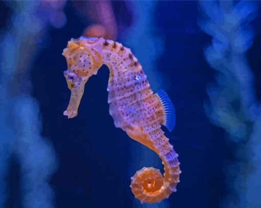 Seahorse Diamond Paintings