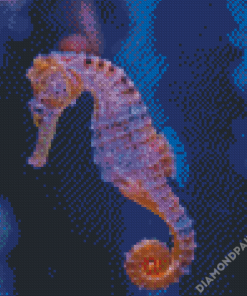 Seahorse Diamond Paintings