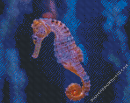 Seahorse Diamond Paintings