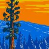 Sequoia National Park Poster Diamond Paintings