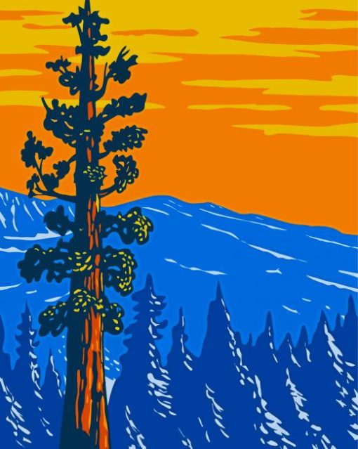 Sequoia National Park Poster Diamond Paintings