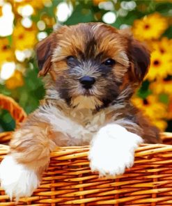 Shorkie In A Basket Diamond Paintings