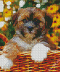 Shorkie In A Basket Diamond Paintings