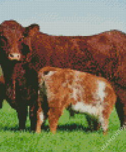 Shorthorns Diamond Paintings