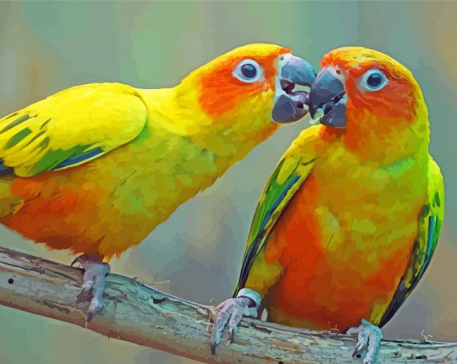 Sun Conure Lovers Diamond Paintings