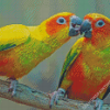 Sun Conure Lovers Diamond Paintings