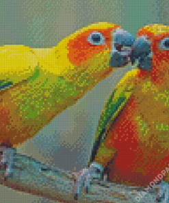 Sun Conure Lovers Diamond Paintings