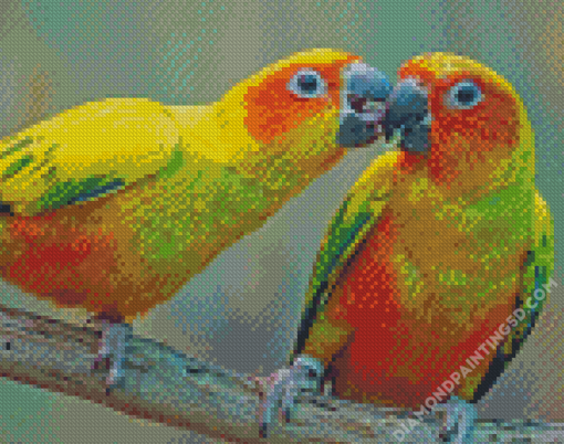 Sun Conure Lovers Diamond Paintings