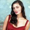 The Actress Phoebe Tonkin Diamond Paintings