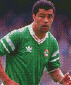 The Footballer Paul McGrath Diamond Paintings