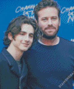 Timothee Chalamet and Armie Hammer Diamond Paintings