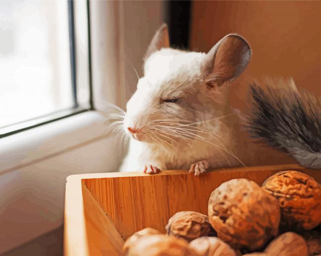 White Chinchilla Animal Diamond Paintings