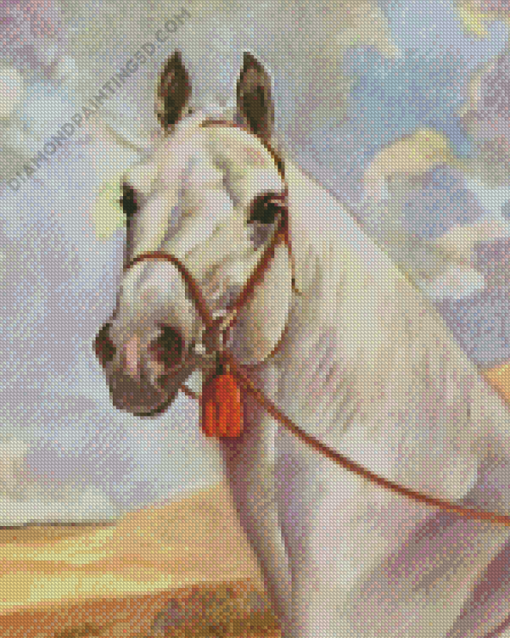 White Vintage Horse Diamond Paintings