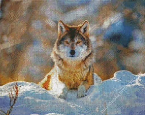 Wolf In The Snow Diamond Paintings