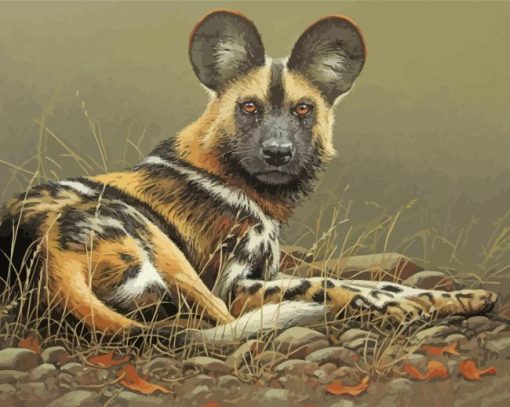 African Hunting Dog Diamond Paintings