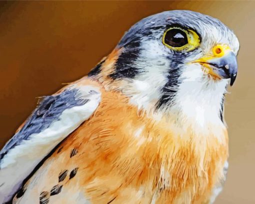 American Kestrel Diamond Paintings