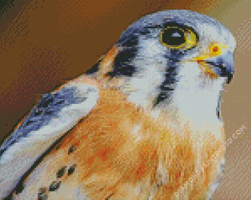 American Kestrel Diamond Paintings