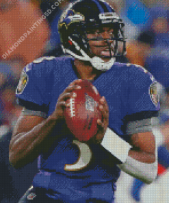 Baltimore Ravens Diamond Paintings