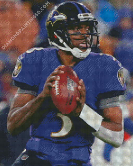 Baltimore Ravens Diamond Paintings