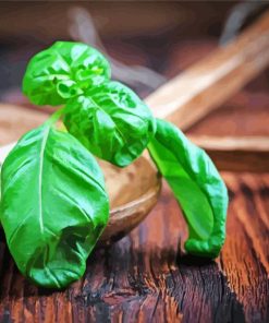 Basil Leaves On Wooden Spoon Diamond Paintings