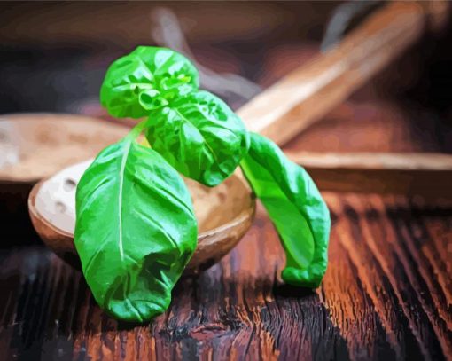 Basil Leaves On Wooden Spoon Diamond Paintings