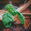 Basil Leaves On Wooden Spoon Diamond Paintings