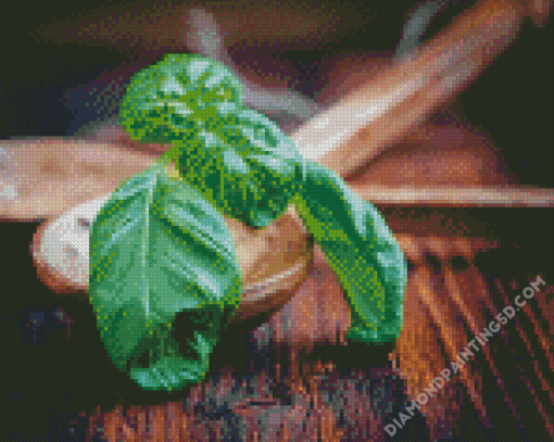 Basil Leaves On Wooden Spoon Diamond Paintings