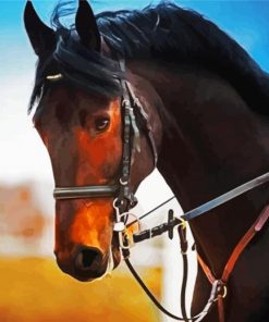 Bay Horse Head Diamond Paintings