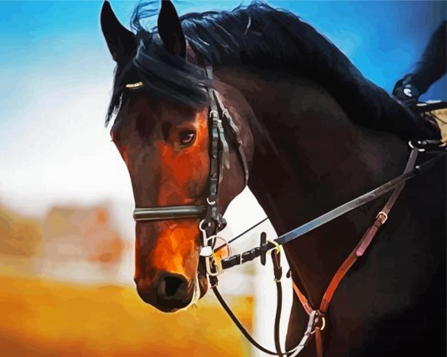 Bay Horse Head Diamond Paintings