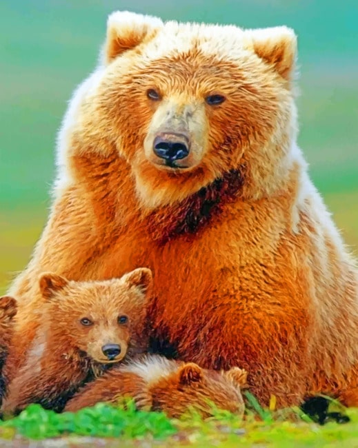 Bear Family Diamond Paintings