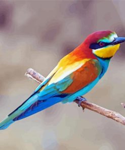 Bee Eater Bird Diamond Paintings