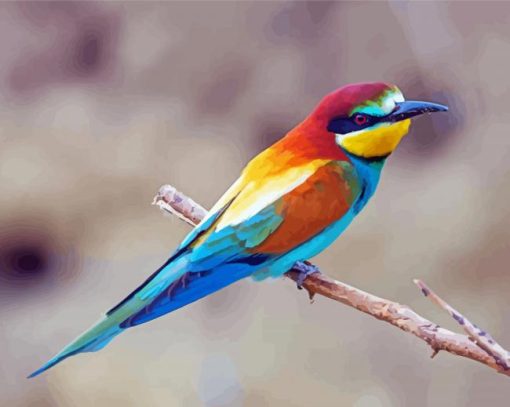 Bee Eater Bird Diamond Paintings