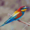 Bee Eater Bird Diamond Paintings