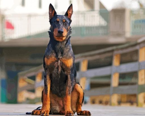 Black And Brown Beauceron Diamond Paintings