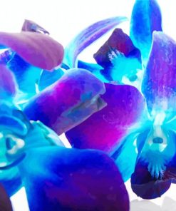 Blue Purple Orchid Diamond Paintings