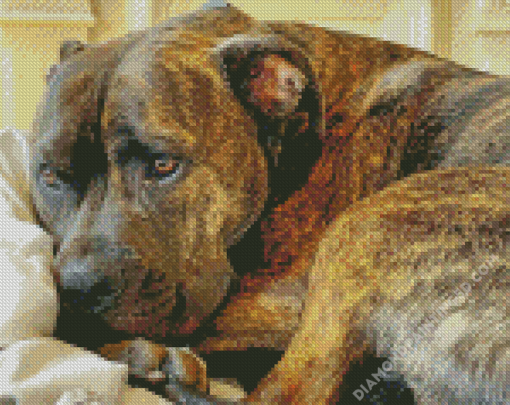 Brindle Pitbull Dog Diamond Paintings