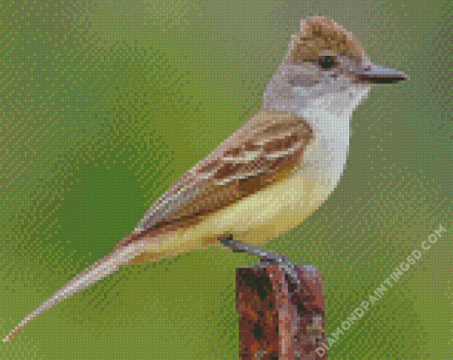 Brown Crested Flycatcher Diamond Paintings