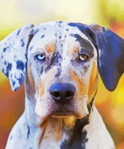 Catahoula Diamond Paintings