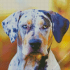 Catahoula Diamond Paintings