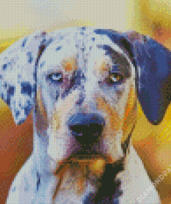 Catahoula Diamond Paintings