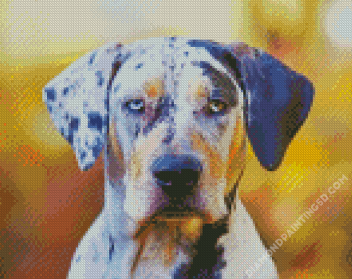 Catahoula Diamond Paintings