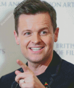 Declan Donnelly presenter Diamond Paintings