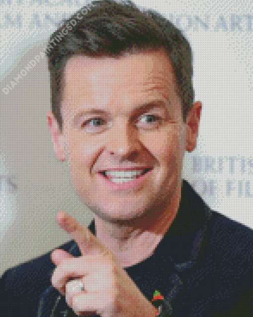 Declan Donnelly presenter Diamond Paintings