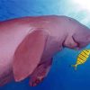 Dugong Animal Diamond Paintings