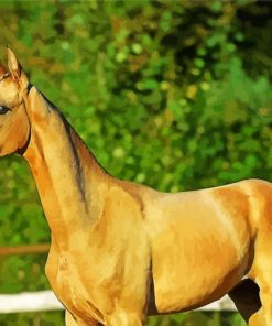 Golden Mare Horse Animal Diamond Paintings