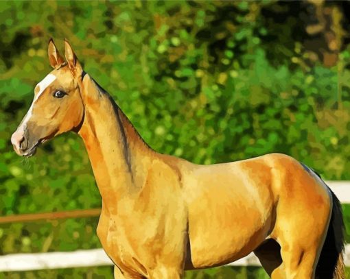 Golden Mare Horse Animal Diamond Paintings