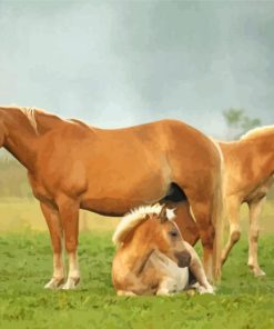 Haflinger Horses Diamond Paintings